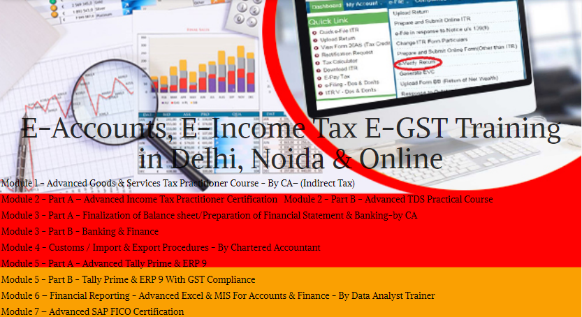 Online Accounting Course in Delhi, Practical Training Accounting in Delhi